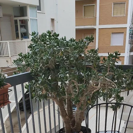 Tilde Bed & Breakfast 3*