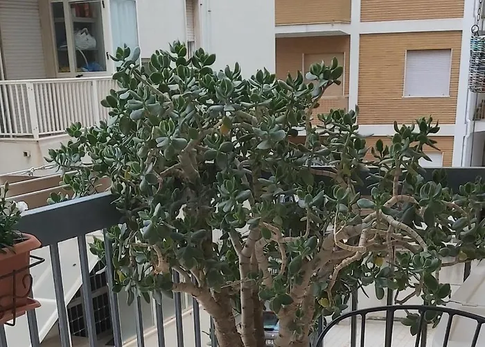 Tilde Bed & Breakfast 3*